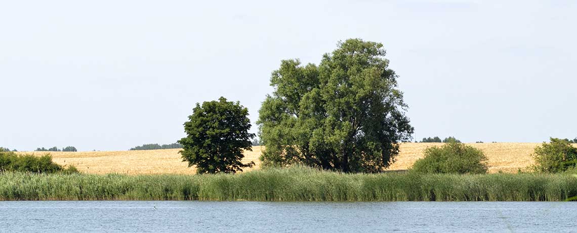 Lage und Umgebung