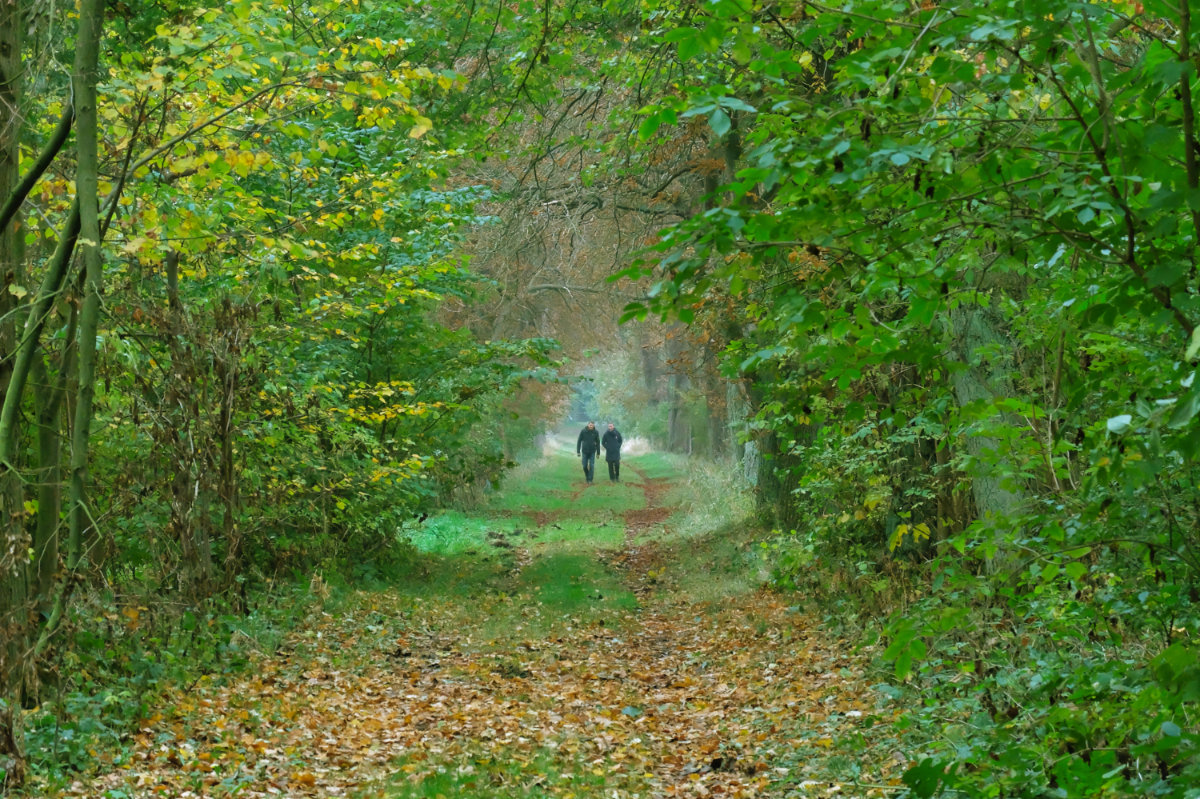 Lage und Umgebung