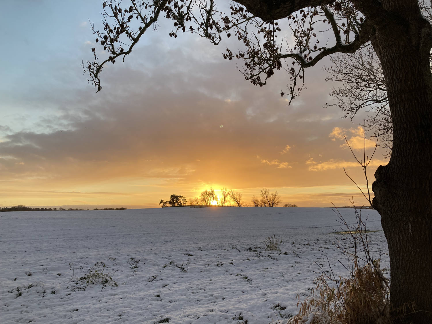 Sonnenuntergang im Schnee